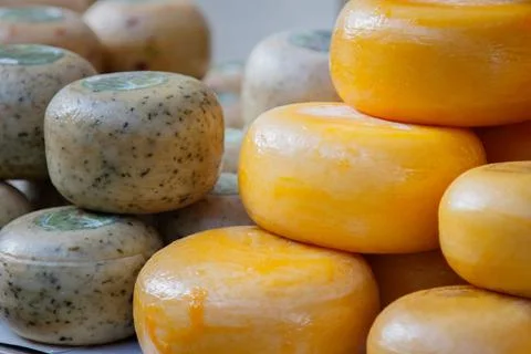 Stack of dutch cheese wheels Stock Photos