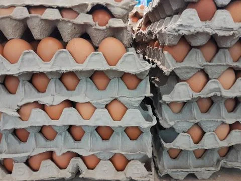 Stack of eggs in paper tray. Stock Photos