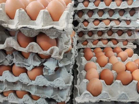 Stack of eggs in paper tray. Stock Photos