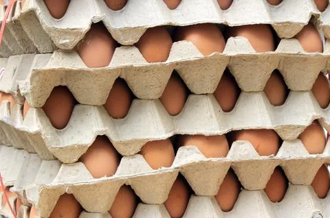 Stack of eggs Stock Photos
