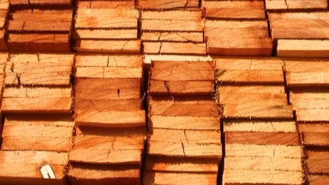 Stack of eucalyptus wood planks. 스톡 동영상 118104611