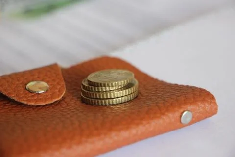Stack of euro coins put on brown leather wallet. Selective focus. Money earni 库存照片