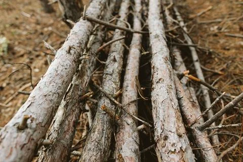 Stack of fallen tree trunks with textured bark Stock Photos
