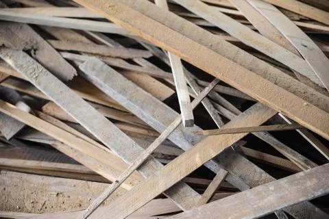 Stack of felled trees. Pine wood industry. Fallen trees. Felling and cutting  Stock Photos