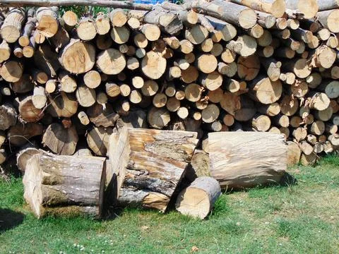 Stack of fire wood - farm Фото