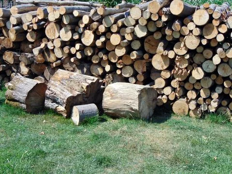 Stack of fire wood - farm Foto stock
