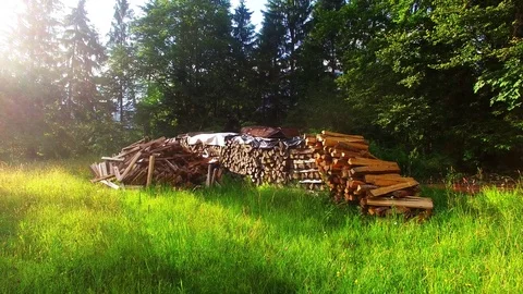 A stack of firewood in the alpine forest. 스톡 동영상 72015480