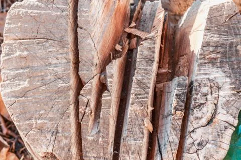 Stack of firewood, background stacks of wood. Dry chopped firewood, ready for Foto stock