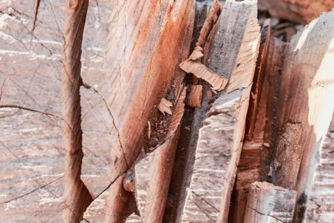 Stack of firewood, background stacks of wood. Dry chopped firewood, ready for Stock Photos