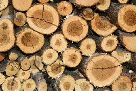 Stack of firewood background texture.. Stock Photos