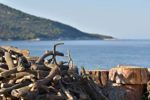 Stack of Firewood with blue sea in background. Stock Photos
