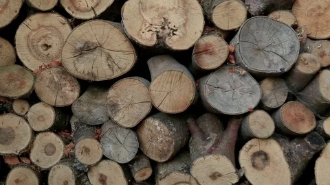 Stack of firewood close up Stock Footage 93782698