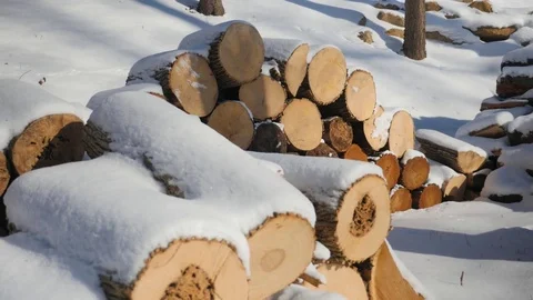 A Stack of Firewood Covered in the Snow Video stock 85060079