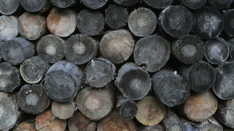 A Stack Of Firewood. Firewood Background Texture Stock Footage 91756345