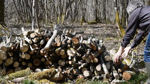 Stack of firewood Stock Footage 88191400