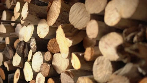 Stack of firewood 库存影片 175198931