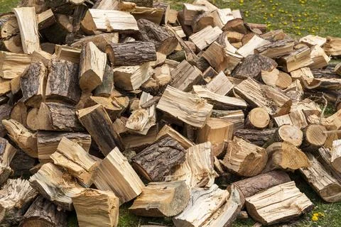 Stack of firewood logs arranged in a pile on green grass, ideal for woodwork Photos