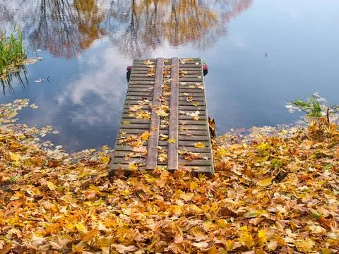 Stack of firewood logs with smoke rising in autumn forest Photos