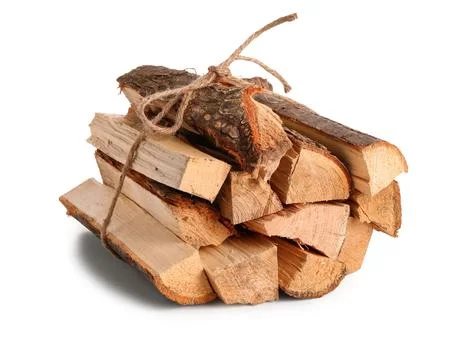 Stack of firewood logs tied with rope on white background Stock Photos