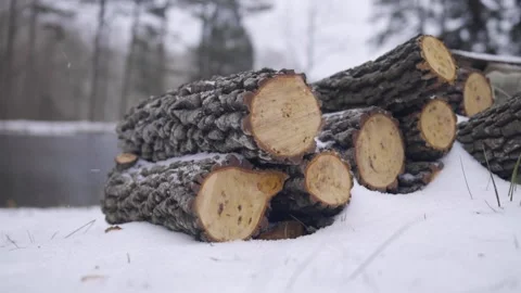 Stack of firewood outside in Wintery scene Video stock 169712717