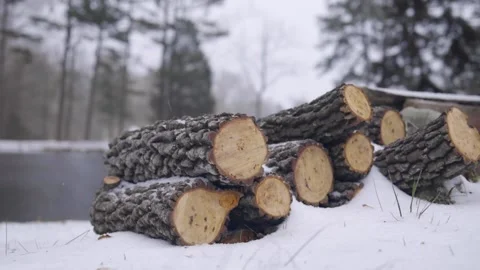 Stack of firewood outside in Wintery scene Video stock 169712729