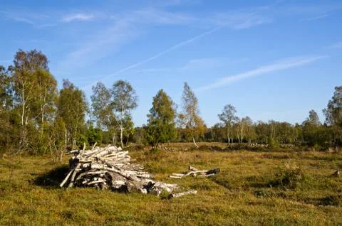 Stack of firewood Stock Photos