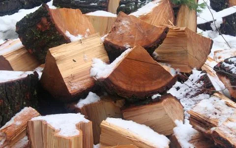 Stack of firewood Foto stock