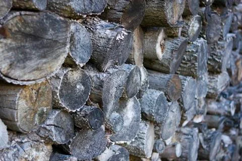 Stack of firewood. Stock Photos