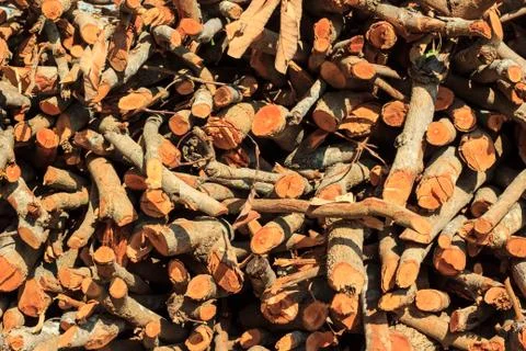 Stack of firewood Stock Photos