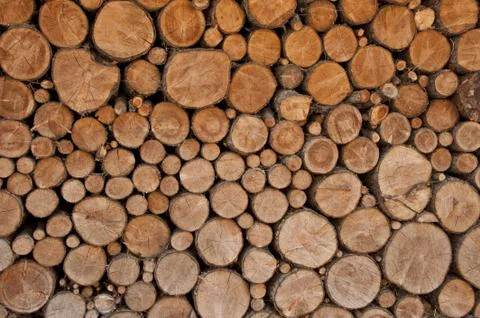 Stack of firewood Stock Photos