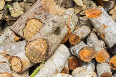 Stack of firewood Stock Photos