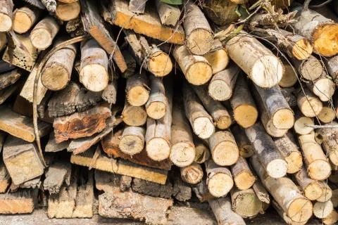 Stack of firewood Stock Photos