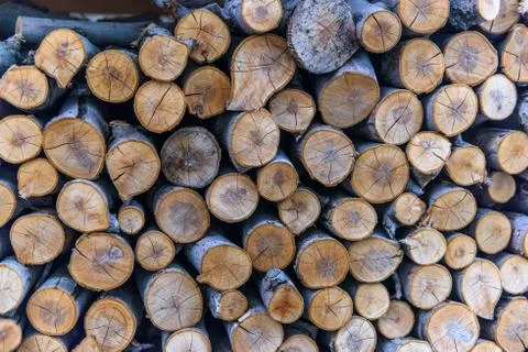 Stack of firewood Stock Photos