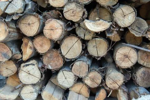 Stack of firewood Stock Photos