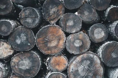 Stack of firewood Foto stock