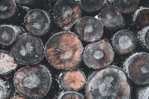 Stack of firewood Foto stock