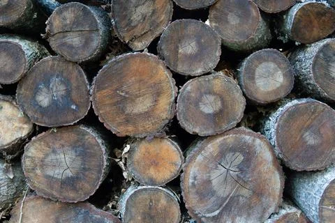 Stack of firewood Stock Photos