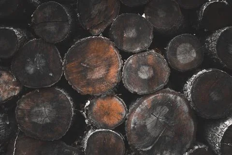 Stack of firewood Foto stock