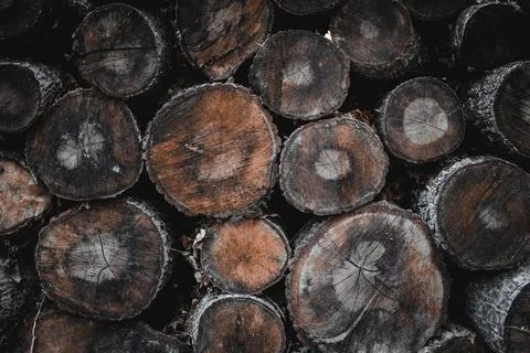 Stack of firewood Stock Photos