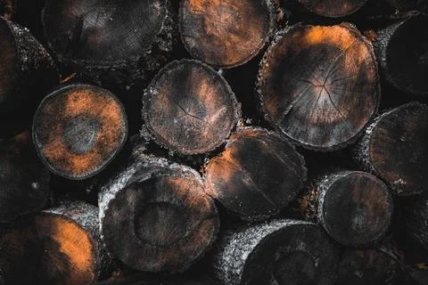 Stack of firewood Stock Photos