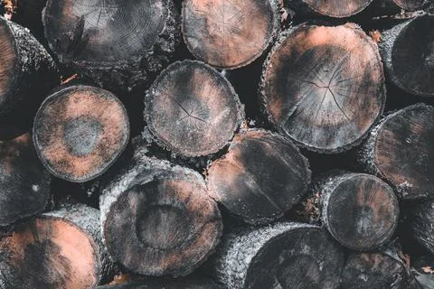 Stack of firewood Foto stock