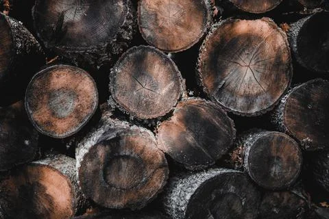 Stack of firewood Stock Photos