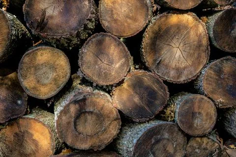 Stack of firewood Stock Photos