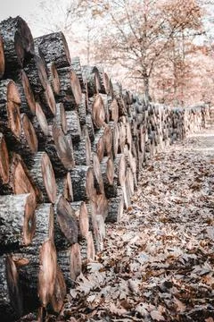 Stack of firewood Foto stock