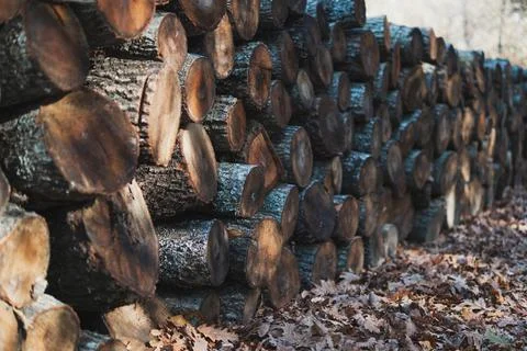 Stack of firewood Foto stock