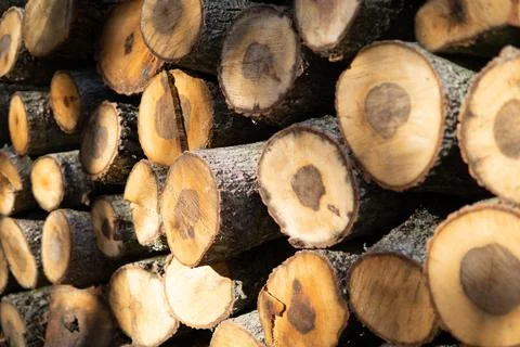 Stack of firewood Foto stock