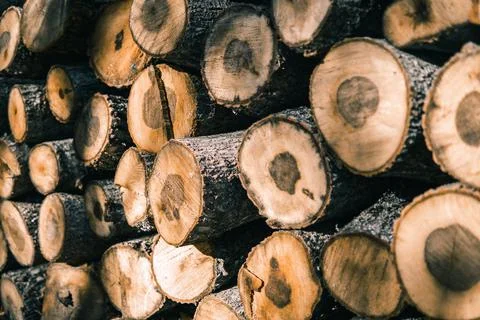 Stack of firewood Foto stock