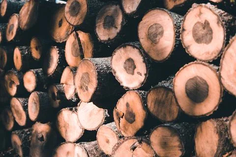 Stack of firewood Foto stock