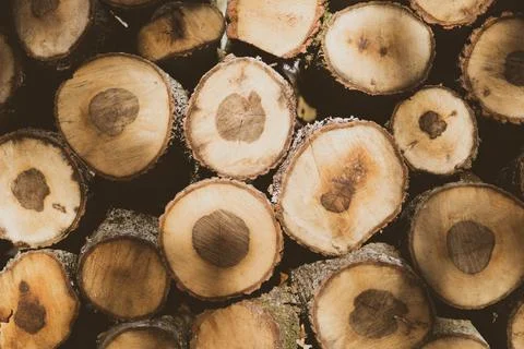 Stack of firewood Foto stock