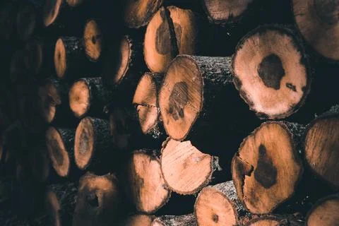 Stack of firewood Foto stock